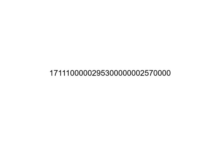 1711100000295300000002570000