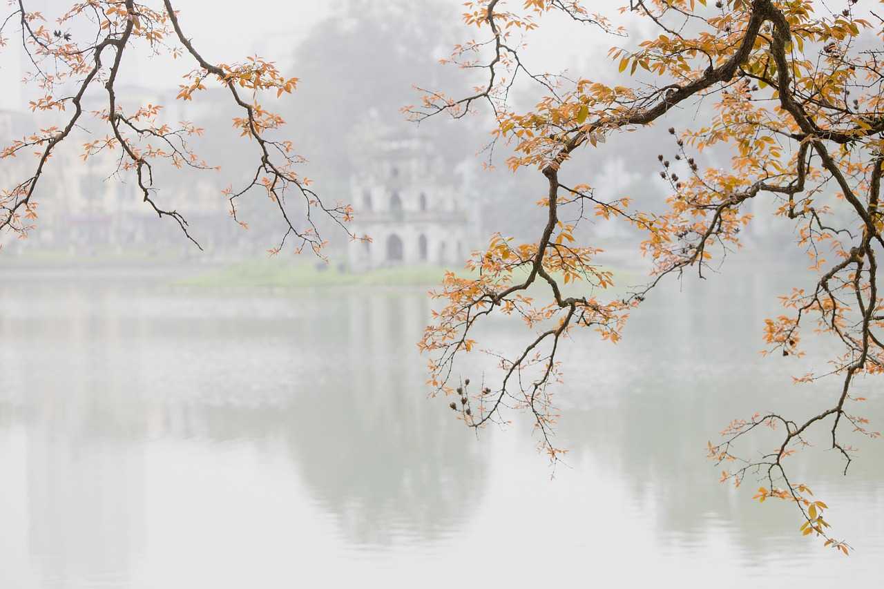 19. which eoc configuration aligns with the on-scene incident organization?