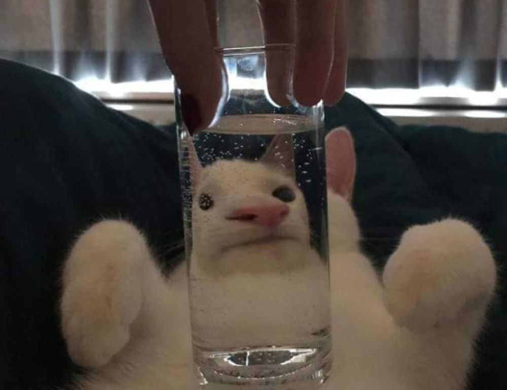 how khema rushisvili train like an olympic weightlifter