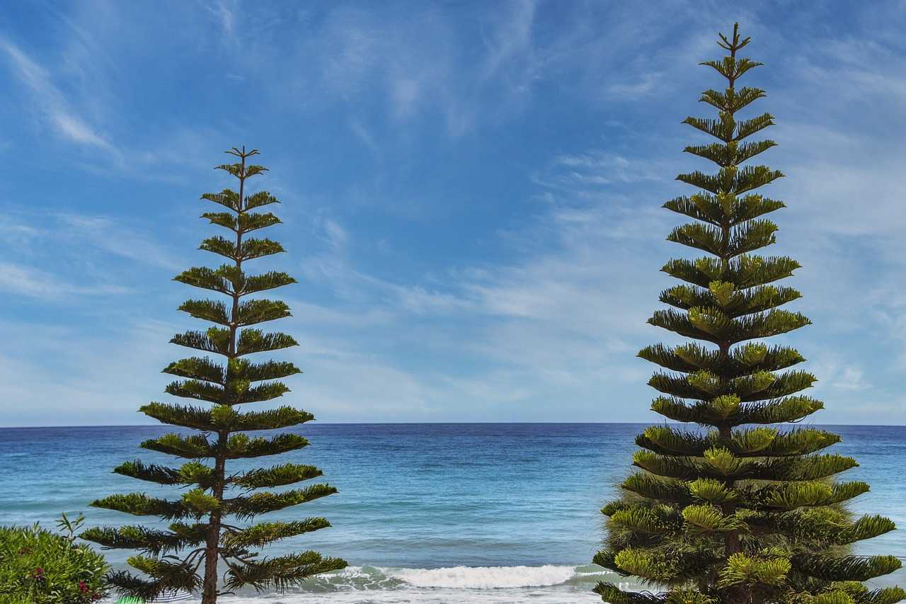 how much is the rogrand525 game on pc