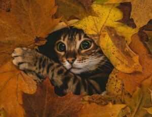 problem on computer 8379xnbs8e02328ws