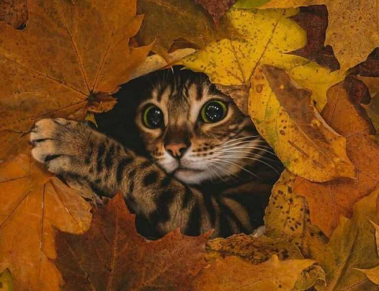 problem on computer 8379xnbs8e02328ws