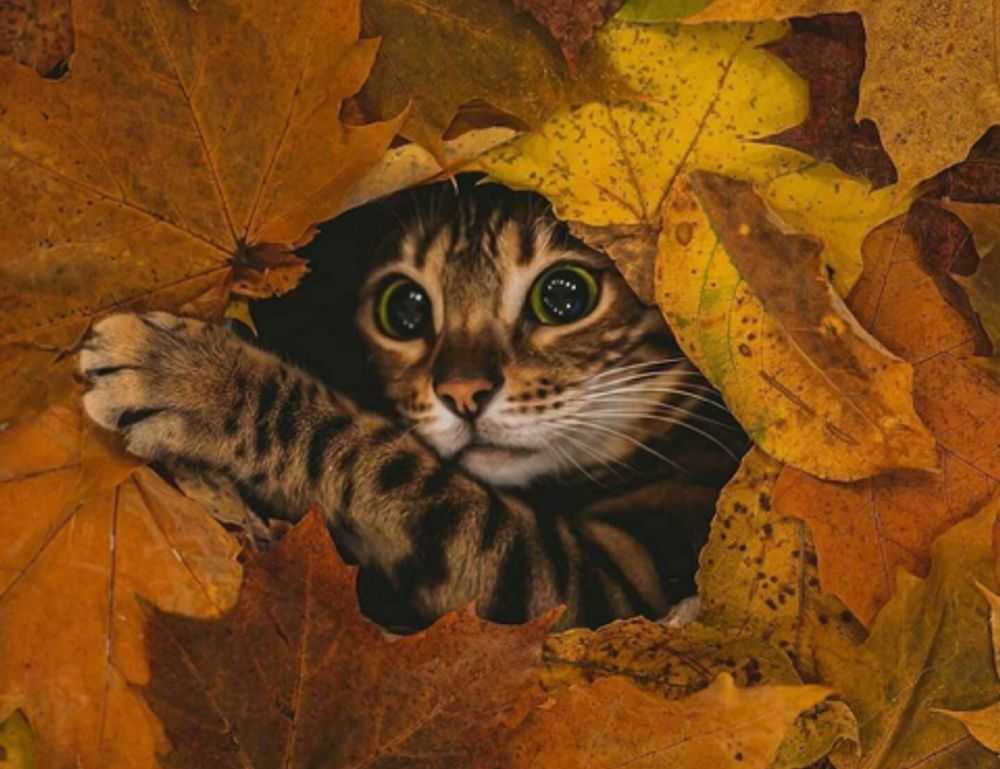 problem on computer 8379xnbs8e02328ws