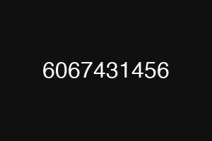 6067431456