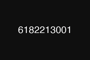 6182213001