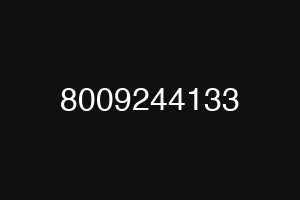 8009244133