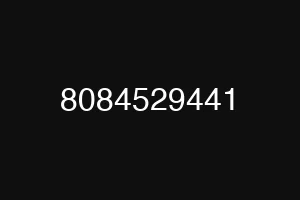 8084529441
