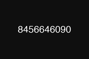 8456646090