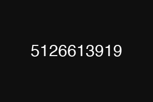 5126613919