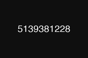 5139381228