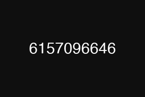 6157096646