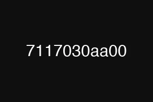 7117030aa00