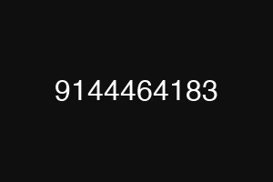 9144464183